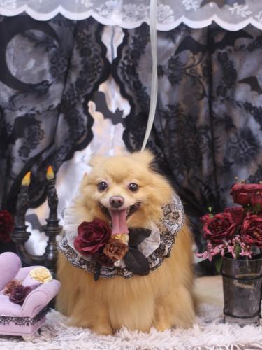 20231019リーくん